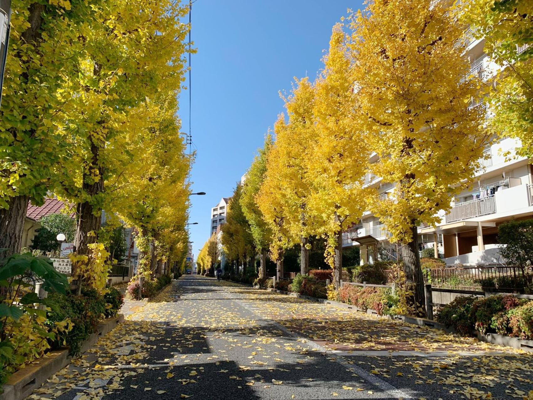 ホテル Rosenheim Tokyo Shinjuku エクステリア 写真
